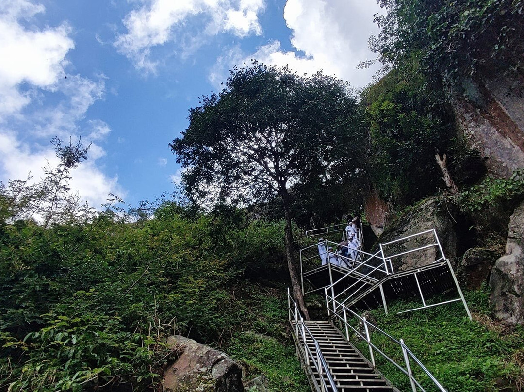 Kerala Private Tours - Travelberry Kerala景点图片