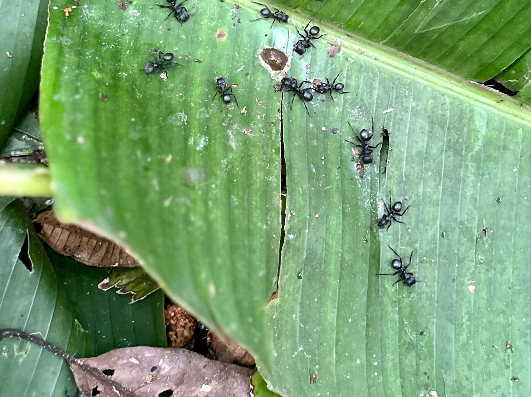 Toglo Cave-Tena必去景点