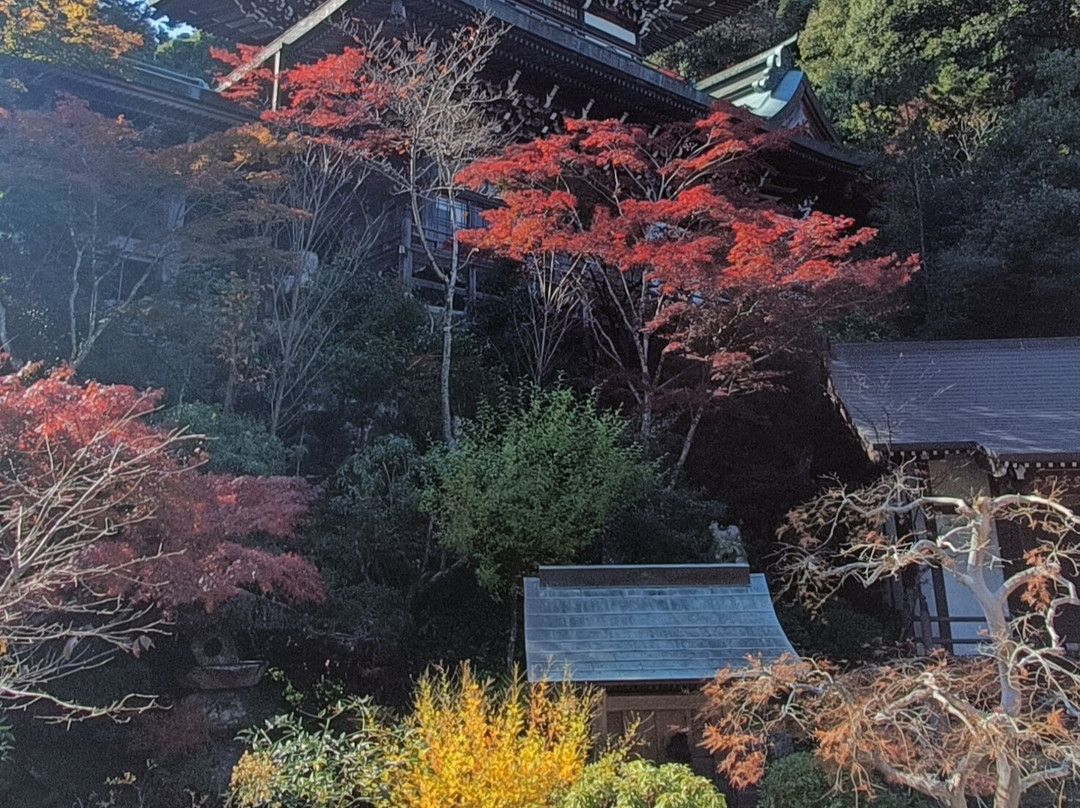 Daisho-in Temple-四日市市必去景点