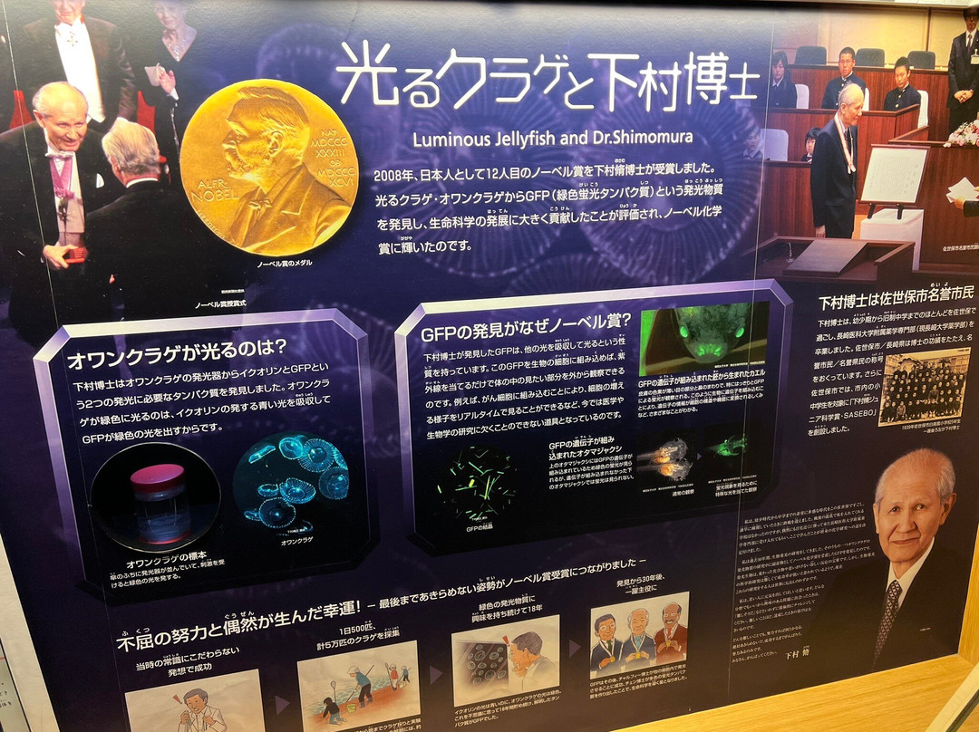 Kujukushima Aquarium Umikirara-佐世保市必去景点