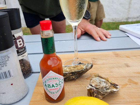 The Constantia Wine Walk-康士坦提亚必去景点