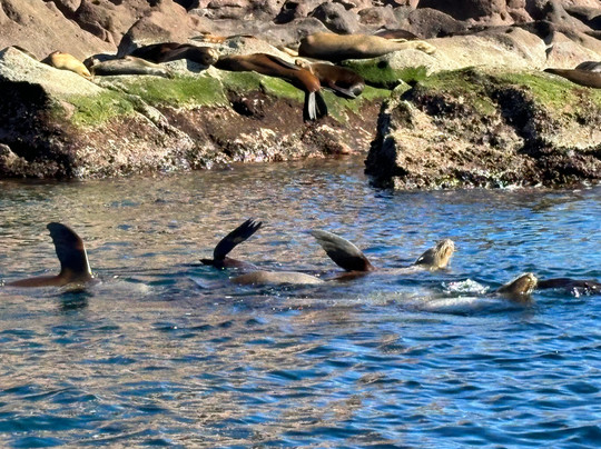 Alonso Tours-拉巴斯必去景点