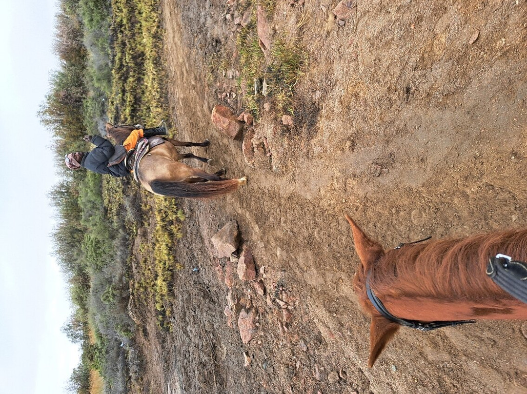 Okakambe Trails-斯瓦科普蒙德必去景点