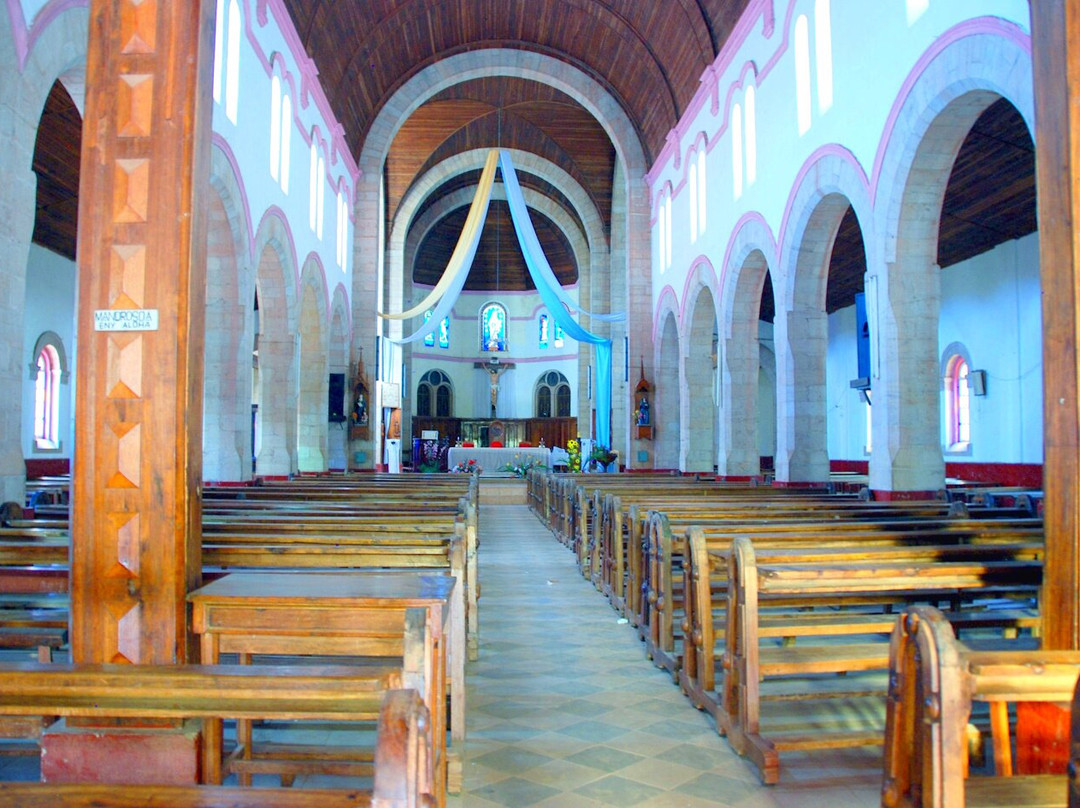 Cathedral of the Immaculate Heart of Mary景点图片