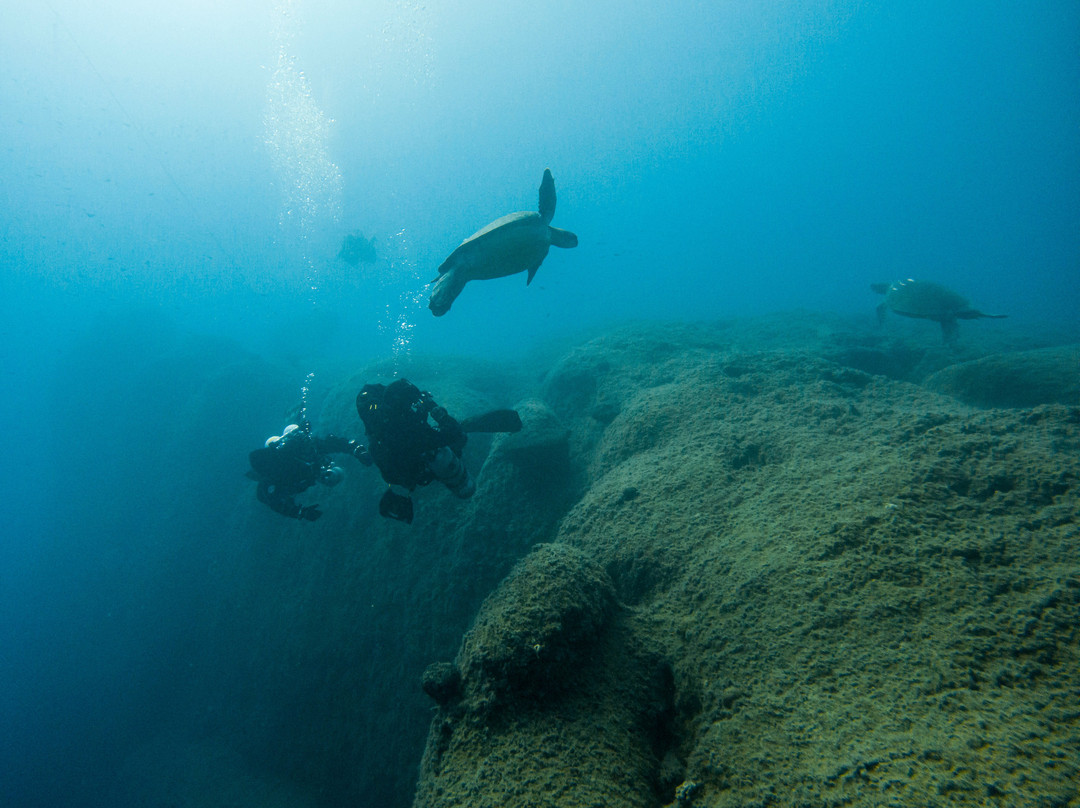 TD Diving-利马索尔必去景点