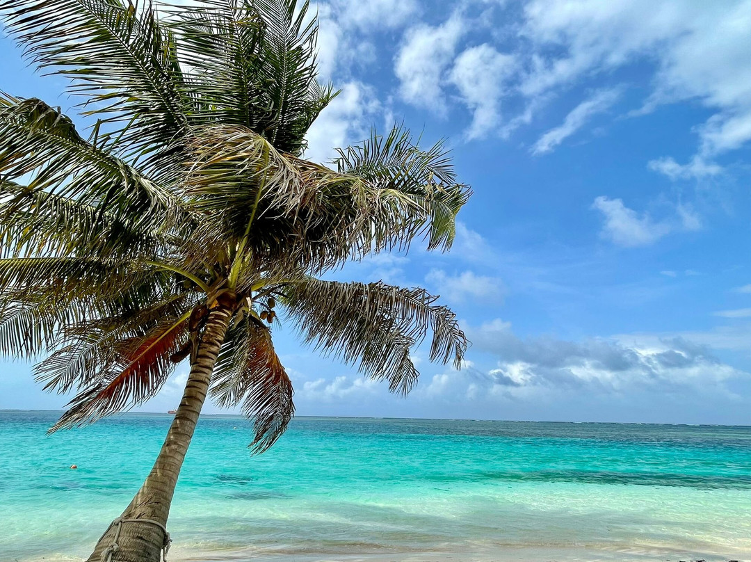 San Blas On Board景点图片