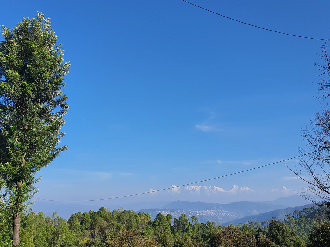 Himalayan Village Sonapani主图