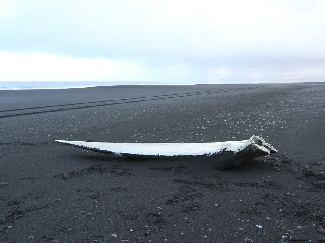 Glacier Journey-赫本必去景点