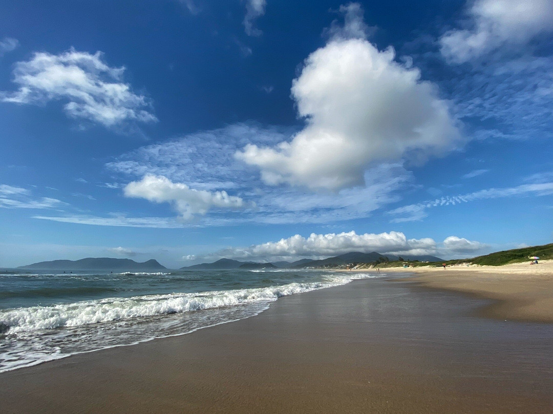 Praia do Campeche-弗洛里亚诺波利斯必去景点