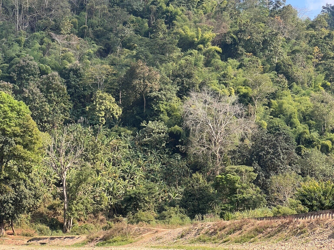 Tubing Chiang Mai-Kuet Chang必去景点
