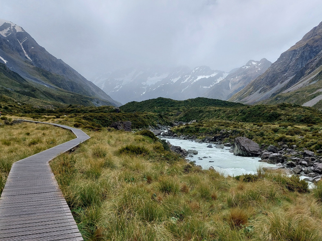 Detour-奥克兰必去景点