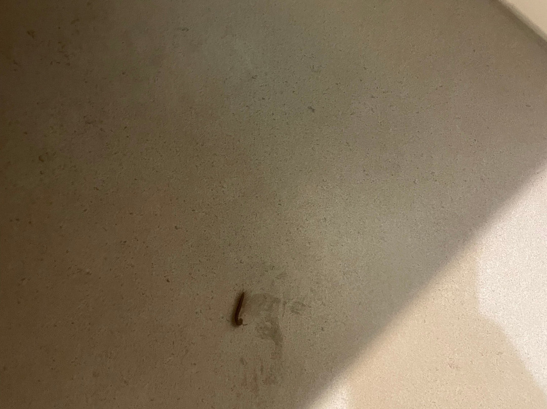 曼特拉苏梅度假村主图