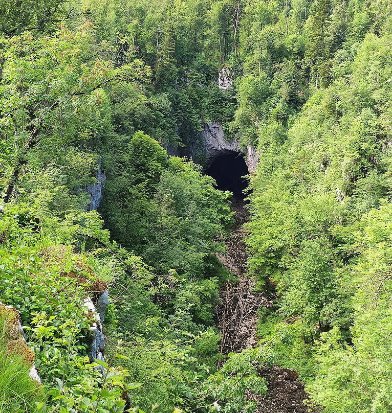 Rakov Škocjan Valley-Rakek必去景点