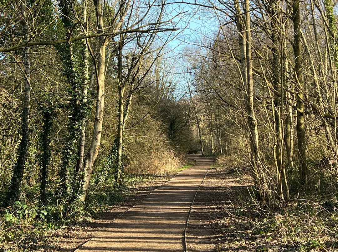 Leavesden Country Park景点图片