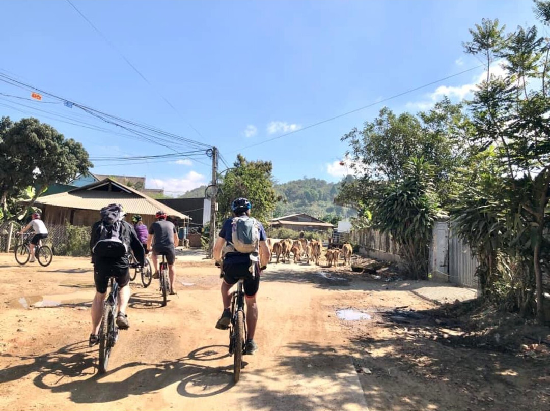 Vietnam Bike Adventures - Day Tours景点图片