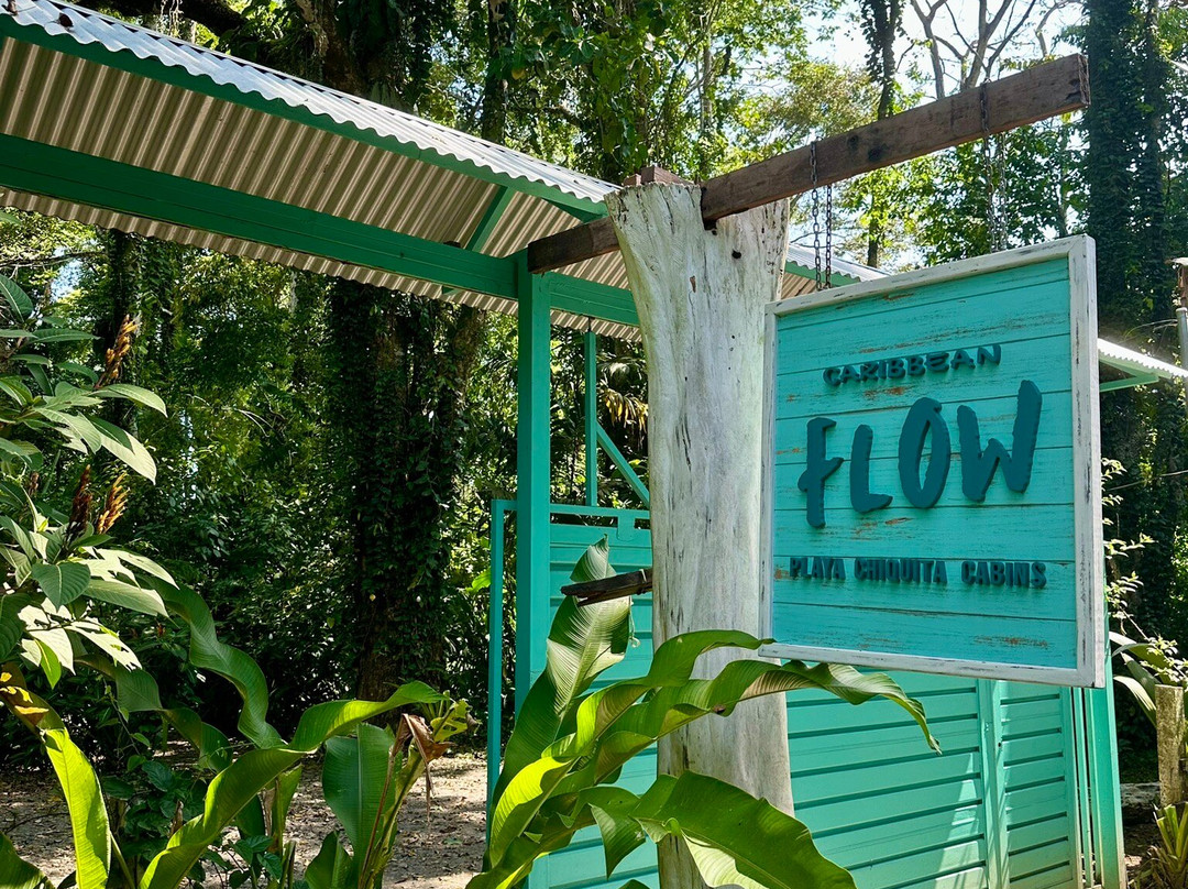 Caribbean Flow
