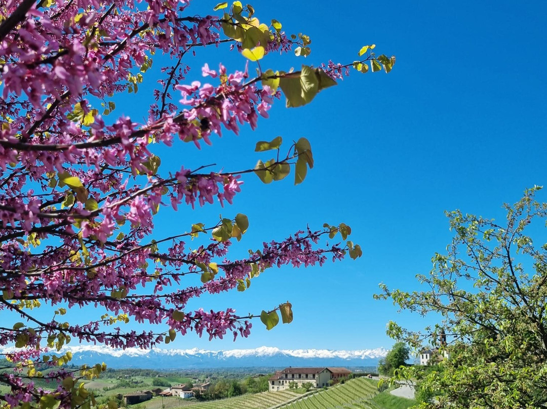 Agriturismo Ca' Brusa主图