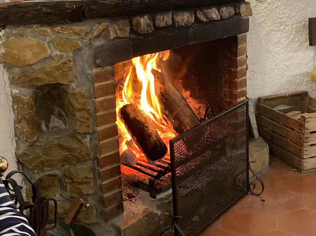 Hotel Soller Garden主图