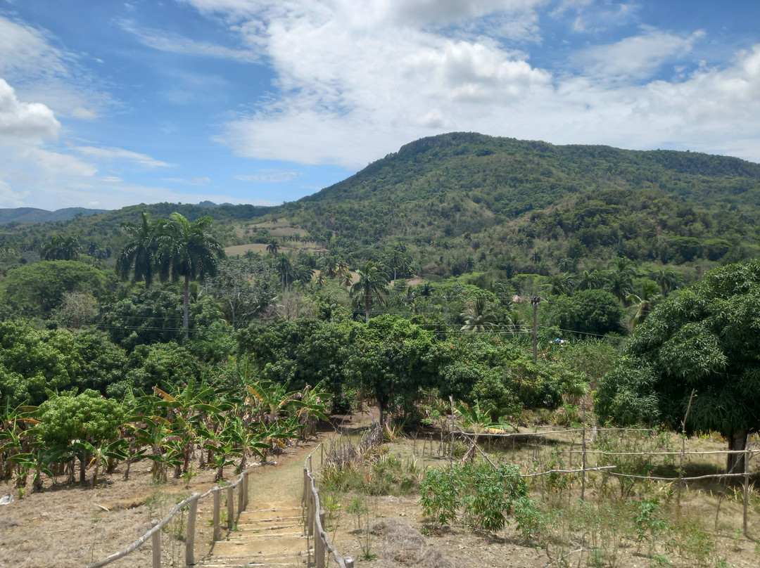 Sendero Los Ricardos