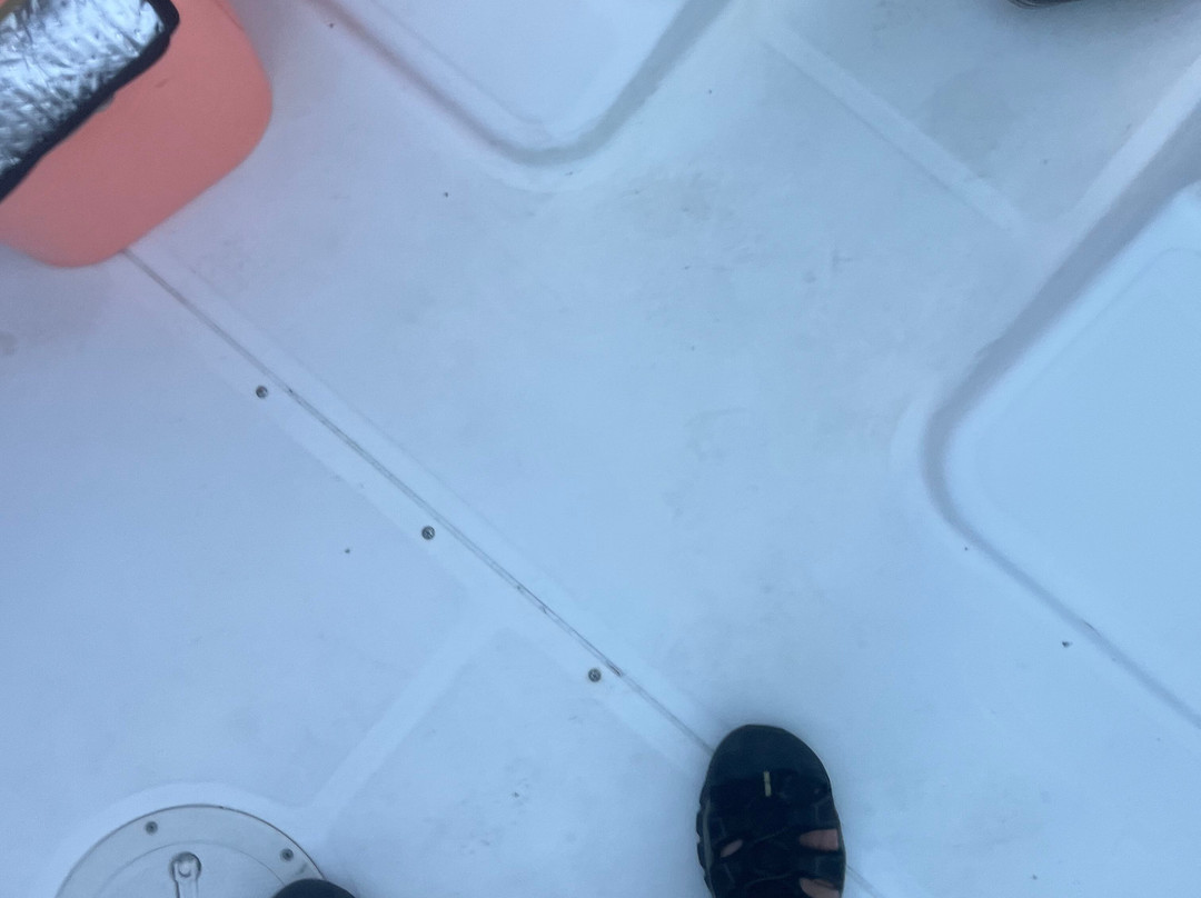 Lady Oyster Tours-巴斯必去景点