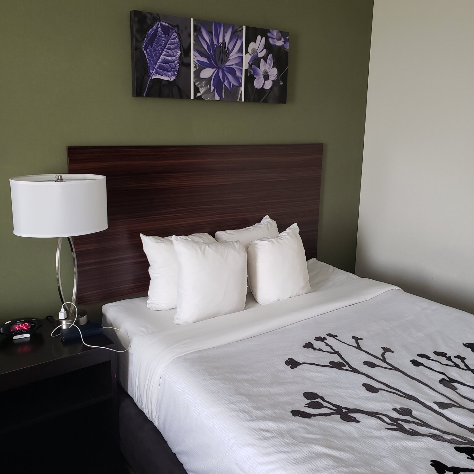 Sleep Inn & Suites Yukon Oklahoma City-客卧