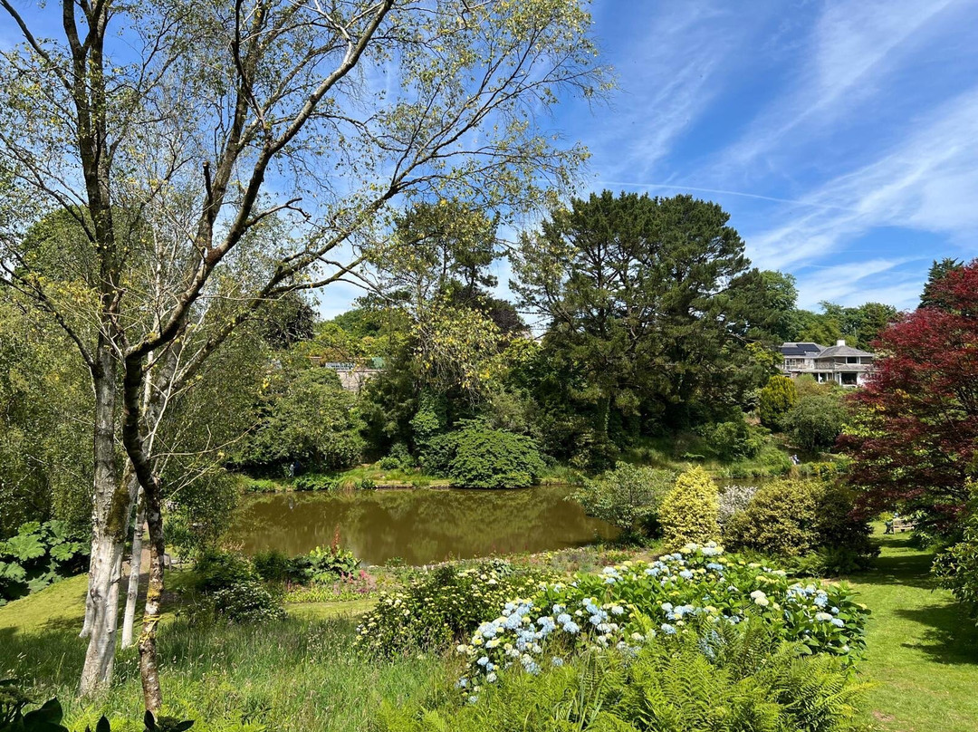 Marwood Hill Gardens景点图片