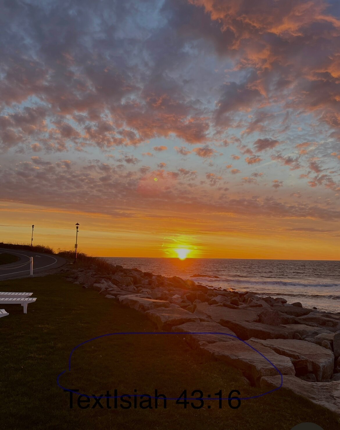桑兹海滨汽车旅馆-官方