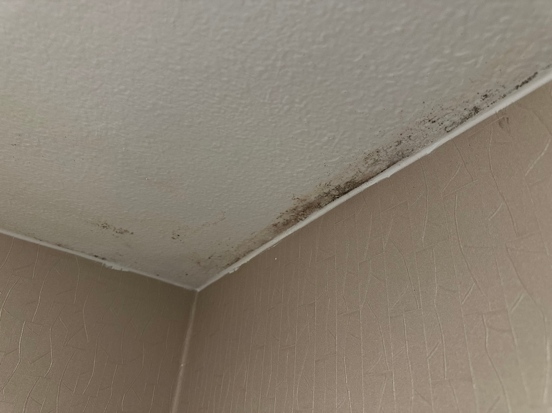 SpringHill Suites by Marriott Dallas Addison/Quorum Drive主图