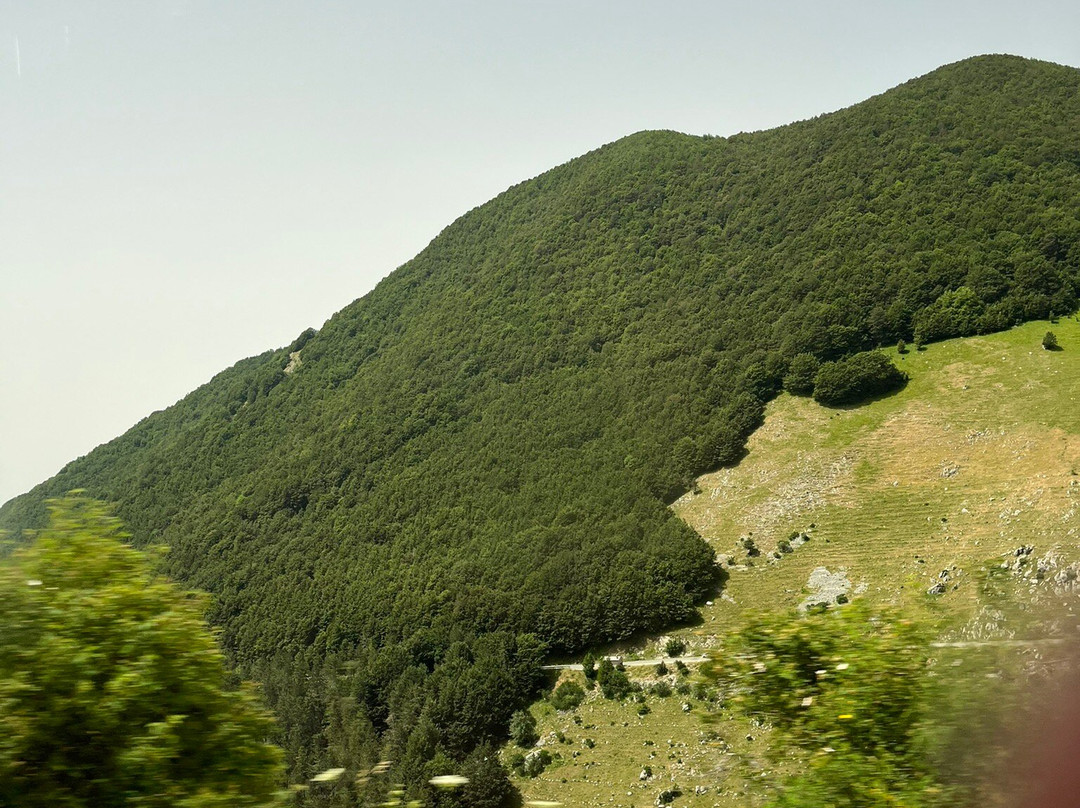 Enrico Limousine Service - Private Tours-热那亚必去景点