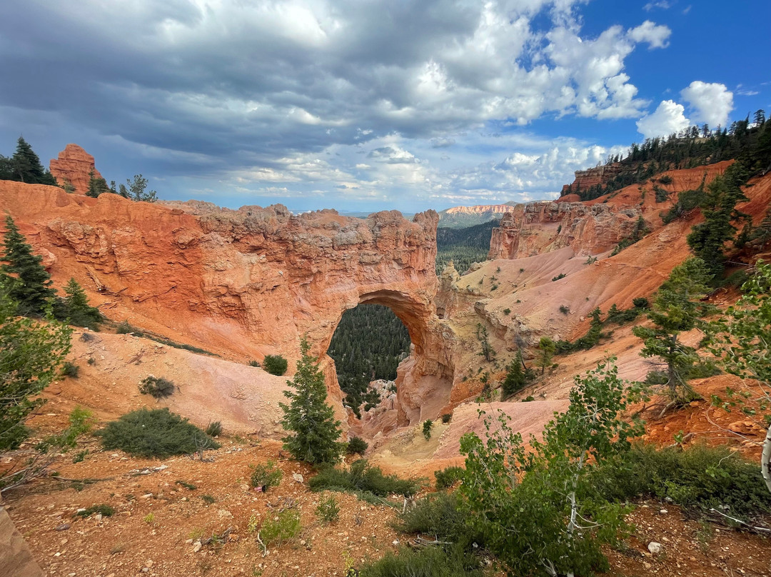 Natural Bridge-布莱斯必去景点
