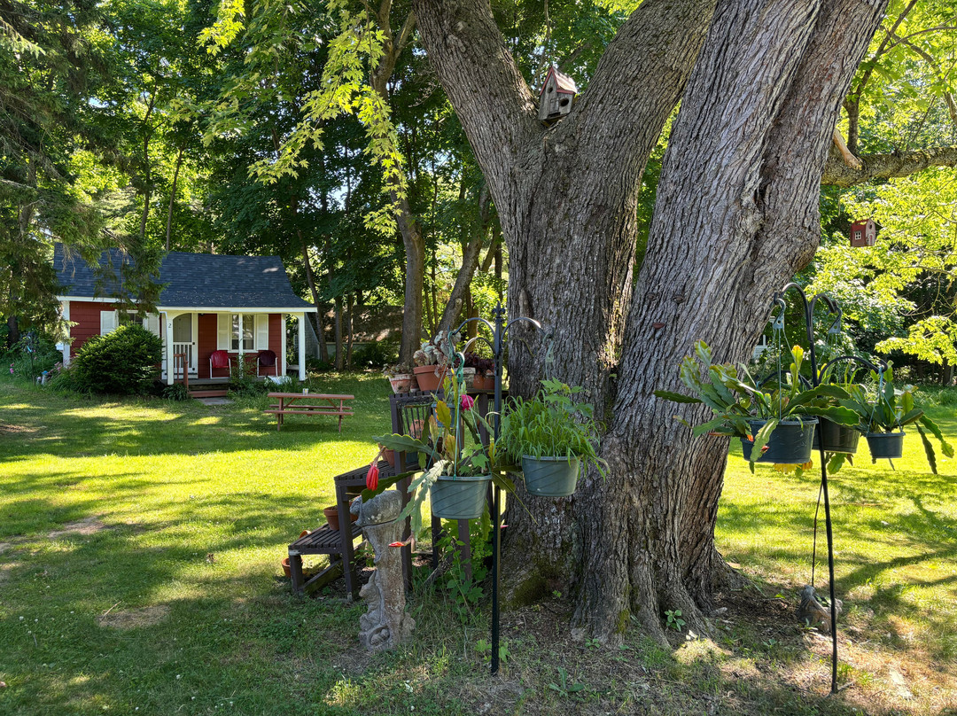 Pride Motel & Cottages主图