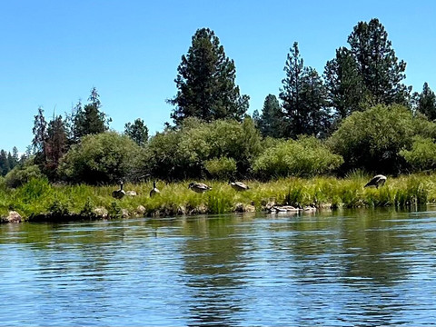 Sunriver Raft & Float-本德必去景点