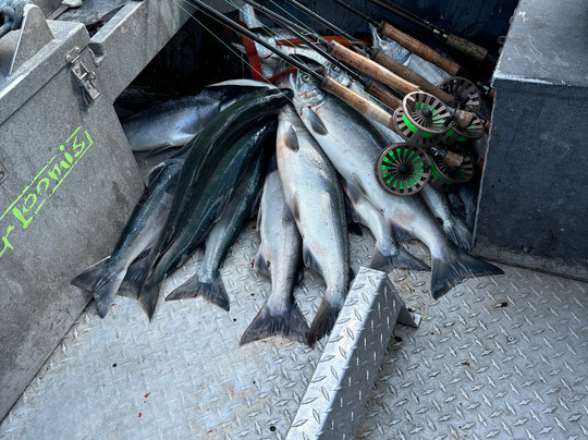 Alaskan Widespread Fishing Adventures-索尔多特纳必去景点