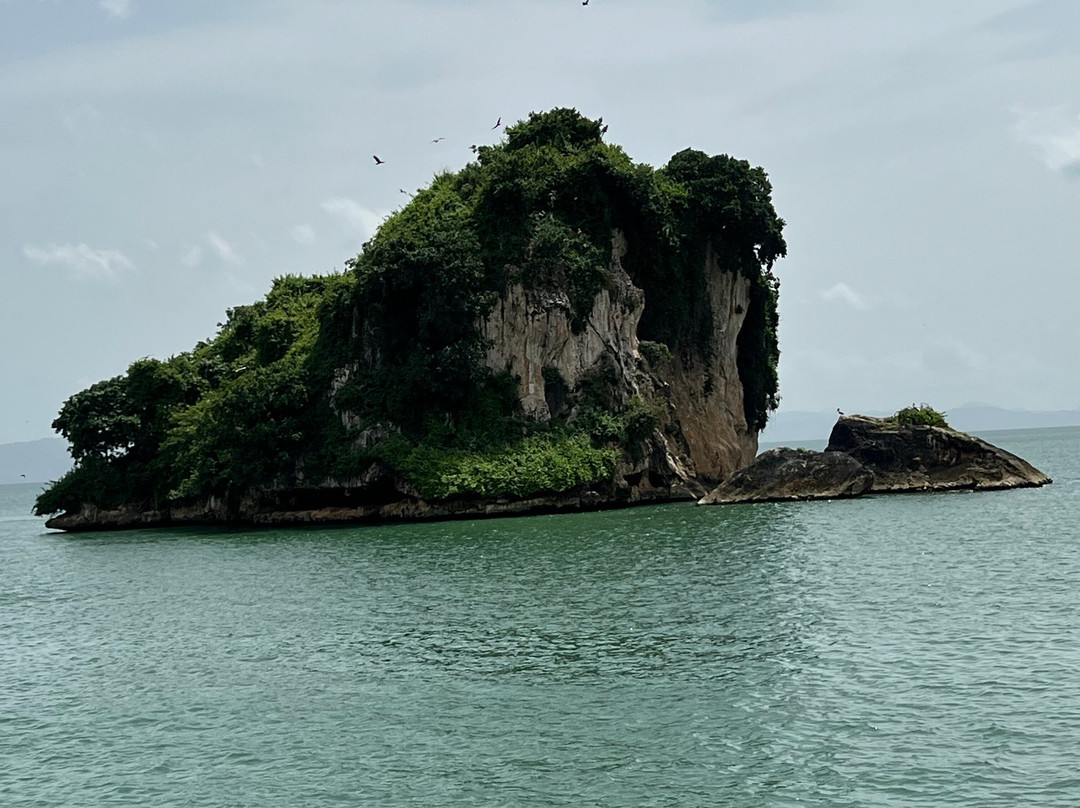 Nano & Vega Las Terrenas Quad and Suv Rental-拉斯特拉纳斯必去景点