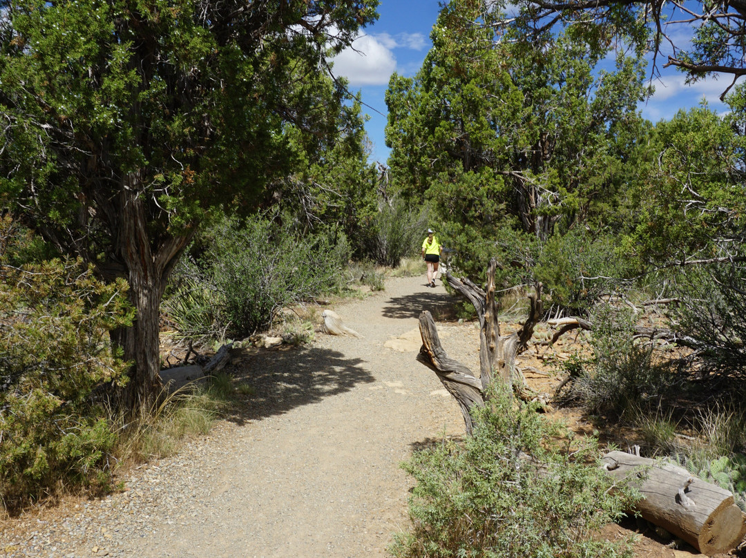 Soda Canyon Overlook Trail-梅萨维德国家公园必去景点