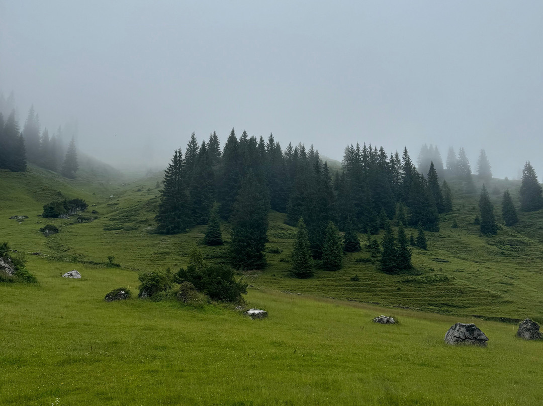 Berghotel Arthurhaus主图