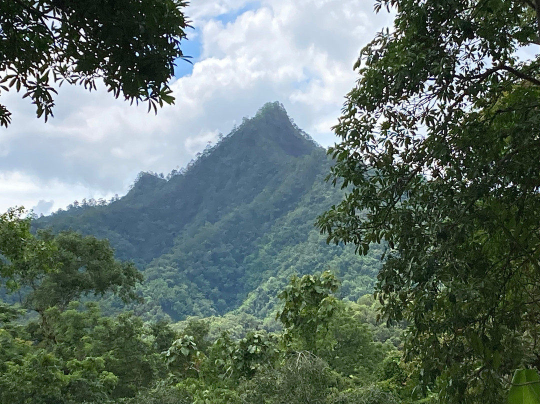 Mae Hong Son Holidays景点图片