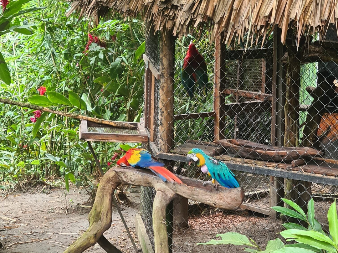 Reserva Natural Tierra Adentro Country House主图