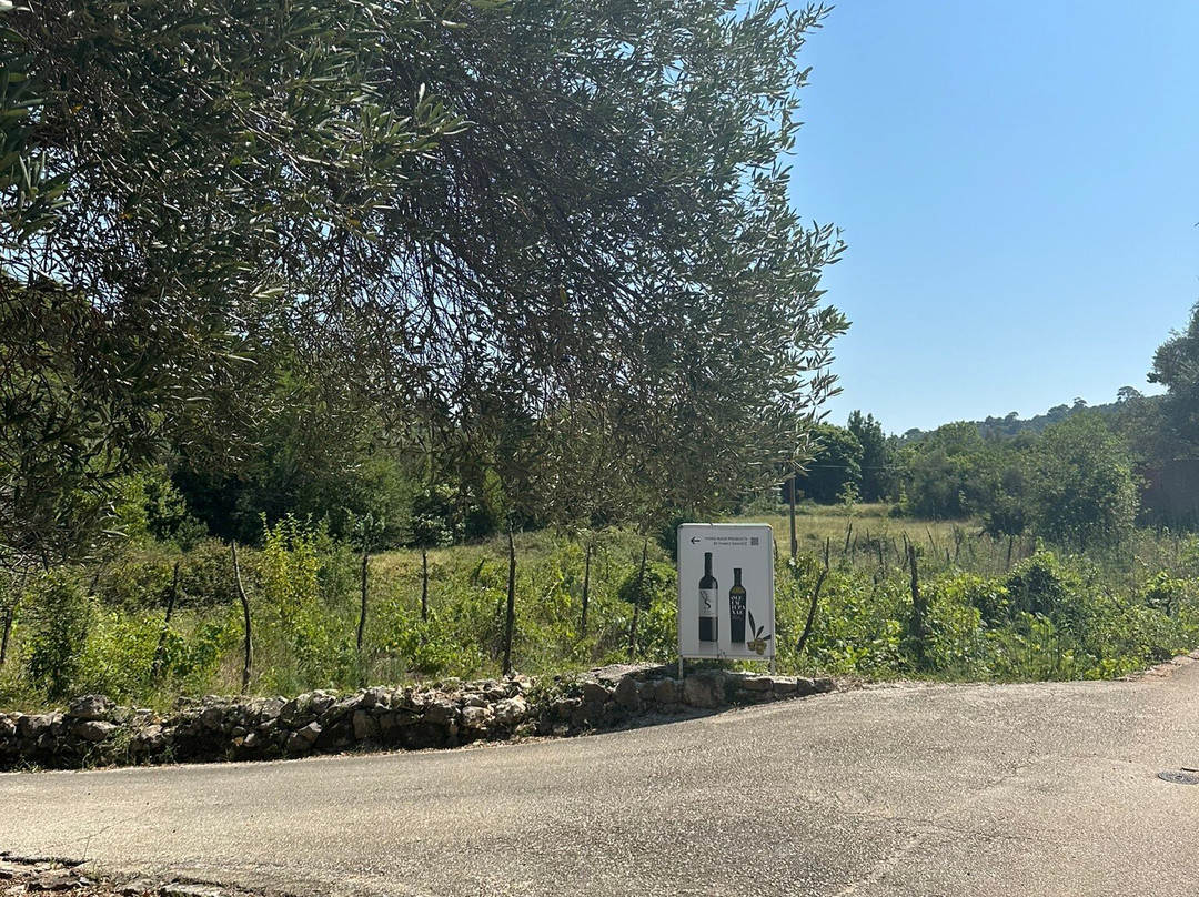 Family Danicic - Island of Sipan主图