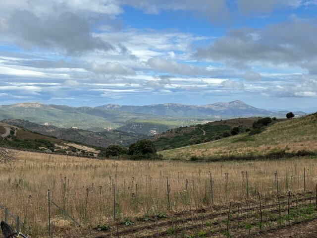 Agriturismo S'Armidda主图