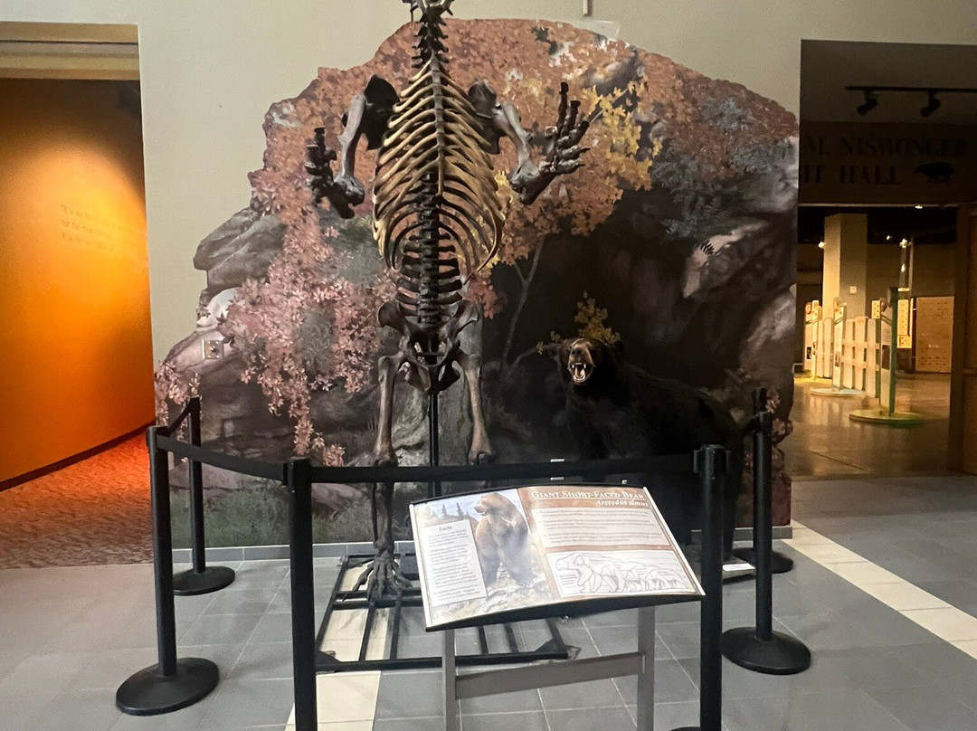 Gray Fossil Site-Gray必去景点