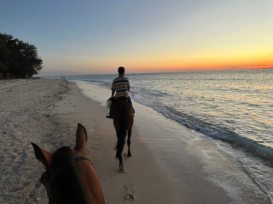 King Stable Horse Riding Tour-Gili Meno必去景点