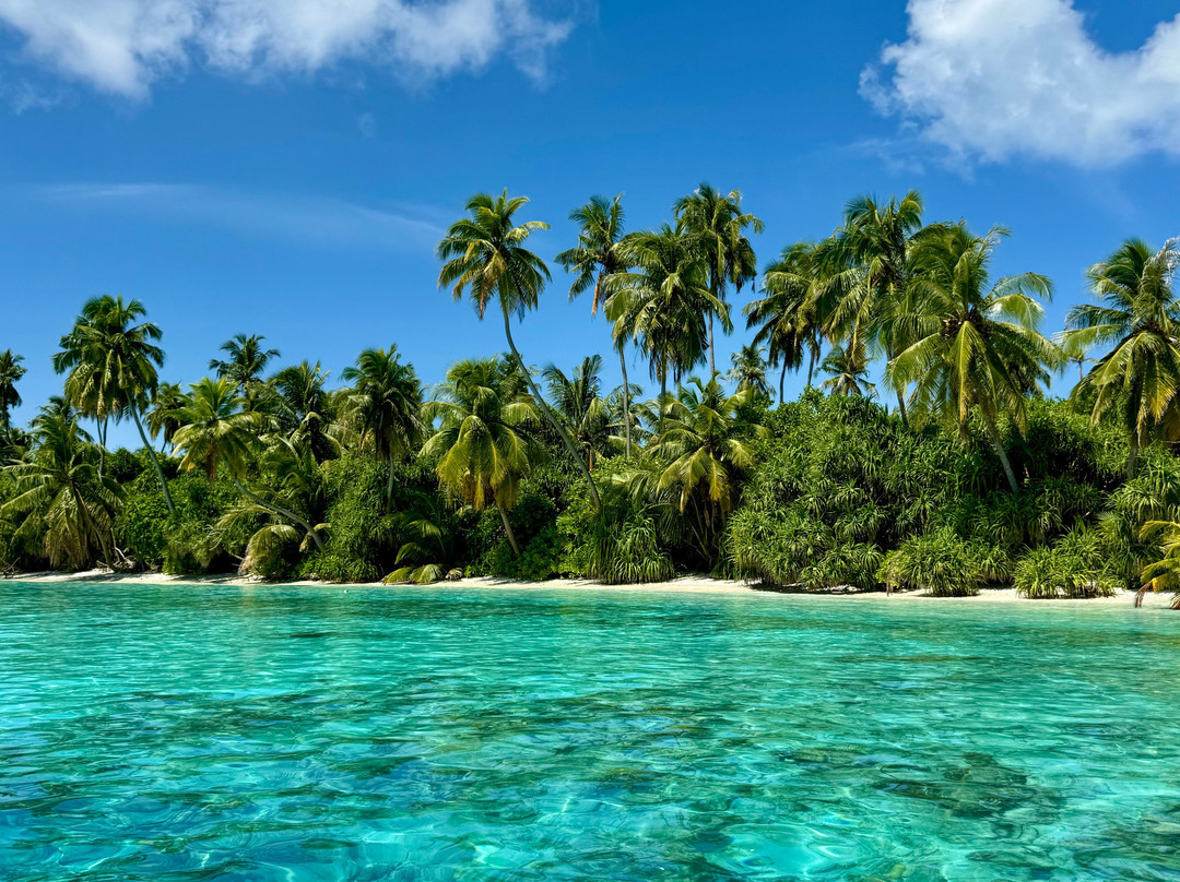 Azalea Cruise-马累必去景点