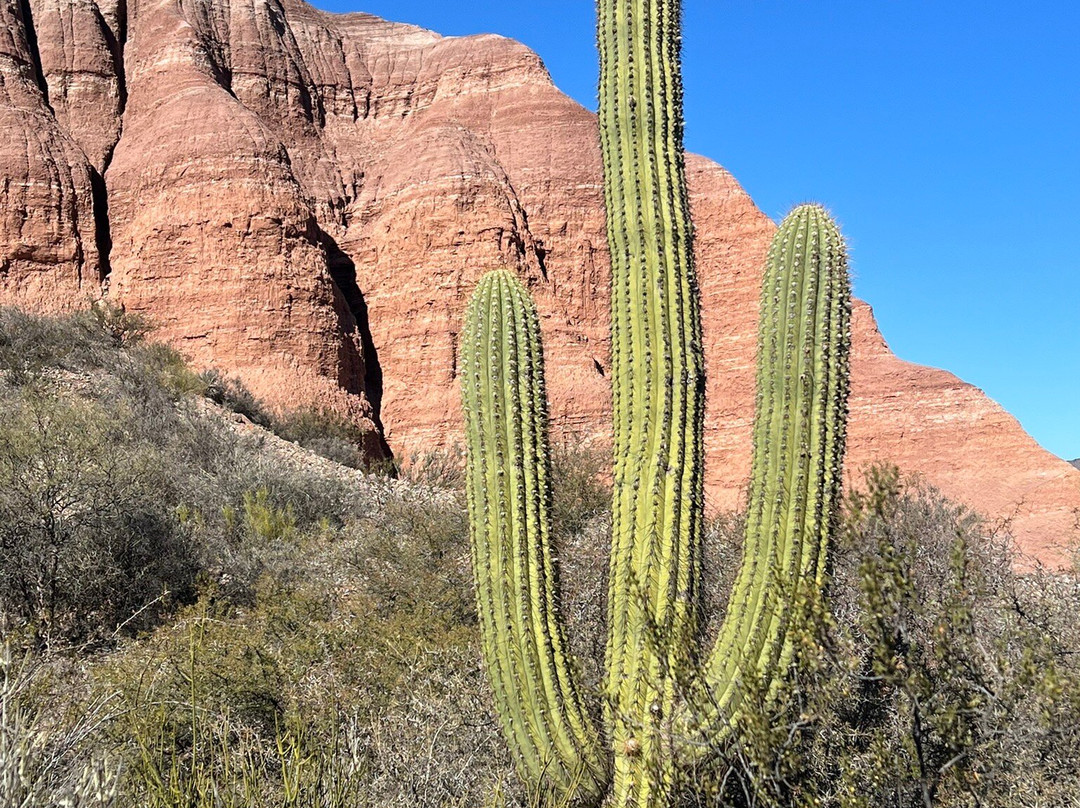 Parque Provincial El Chiflon-拉里奥哈必去景点