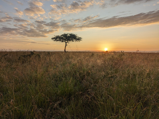Medoti African Safaris-纳罗克必去景点