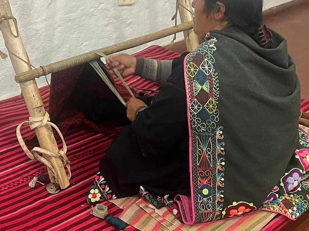 Museum of Indigenous Art ASUR-苏克雷必去景点