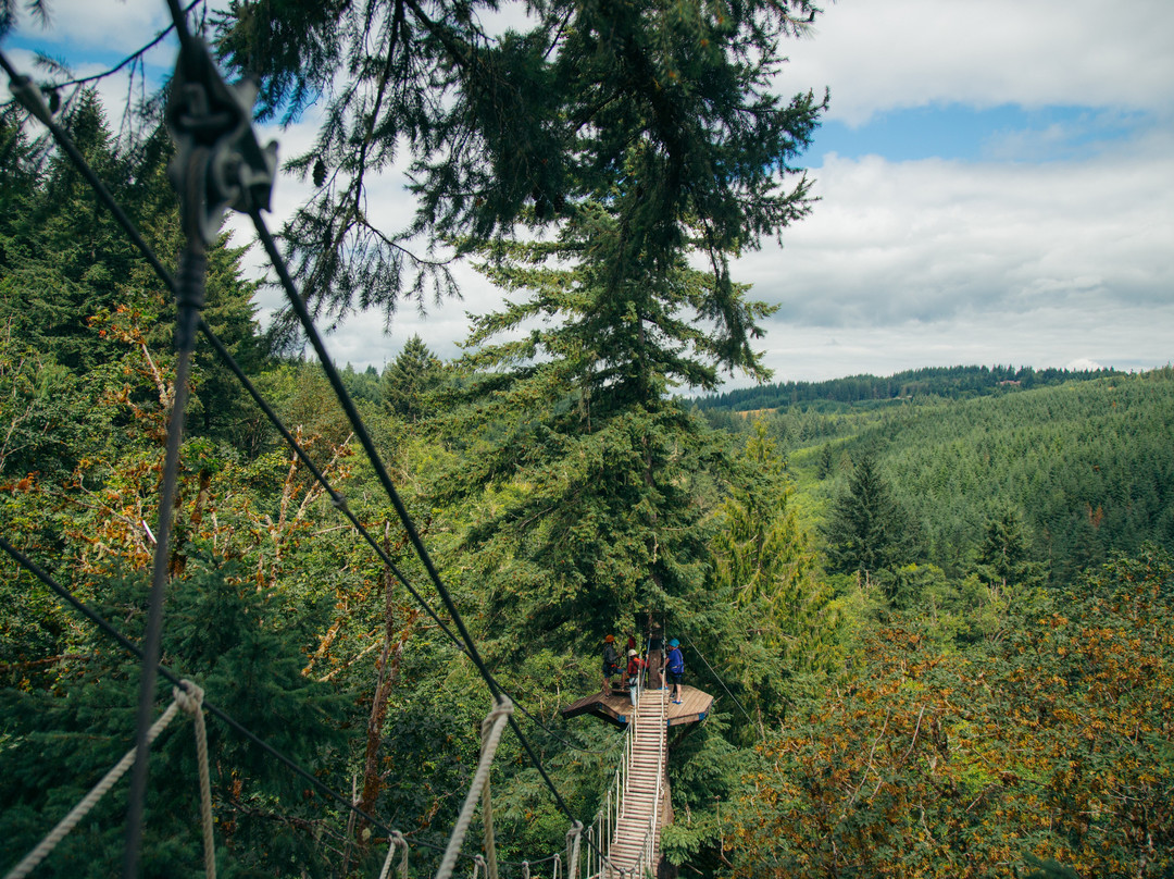 Pumpkin Ridge Zip Tour-North Plains必去景点