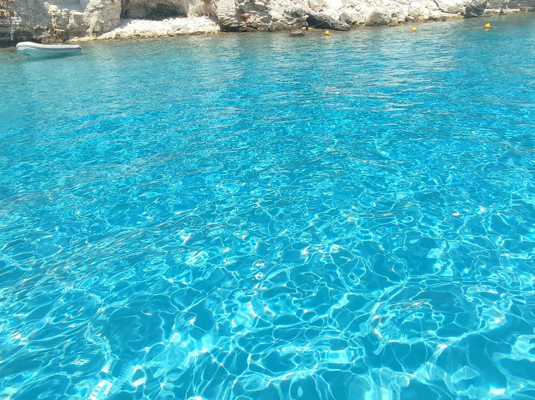 Glass Bottom Boat Poseidon Day Trips-赫索尼索斯必去景点