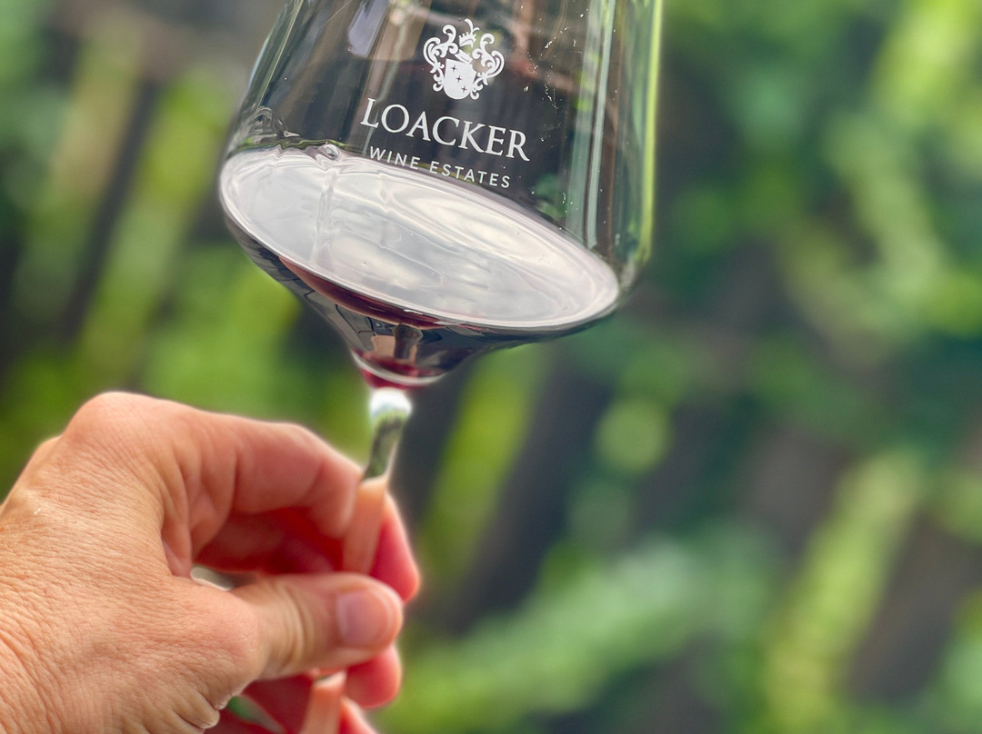 Loacker Weingut景点图片