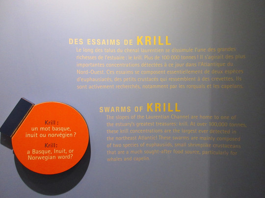 Marine Environment Discovery Centre-Les Escoumins必去景点